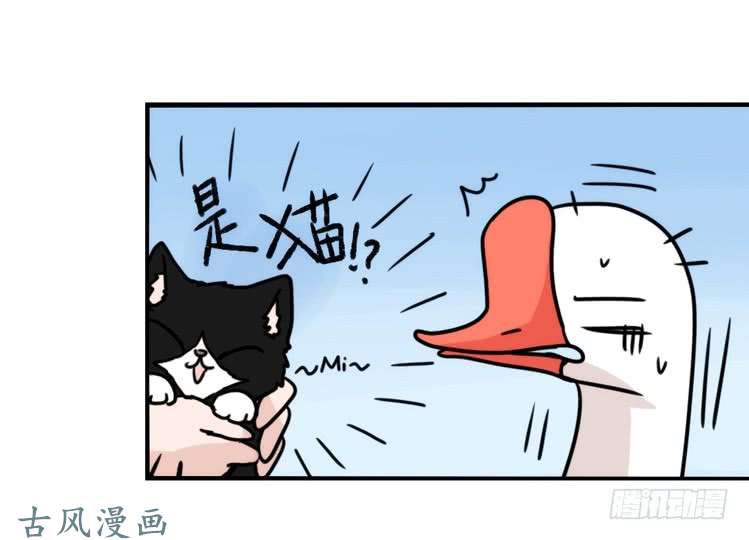 进化之基动协在行动01：鹅霸校园