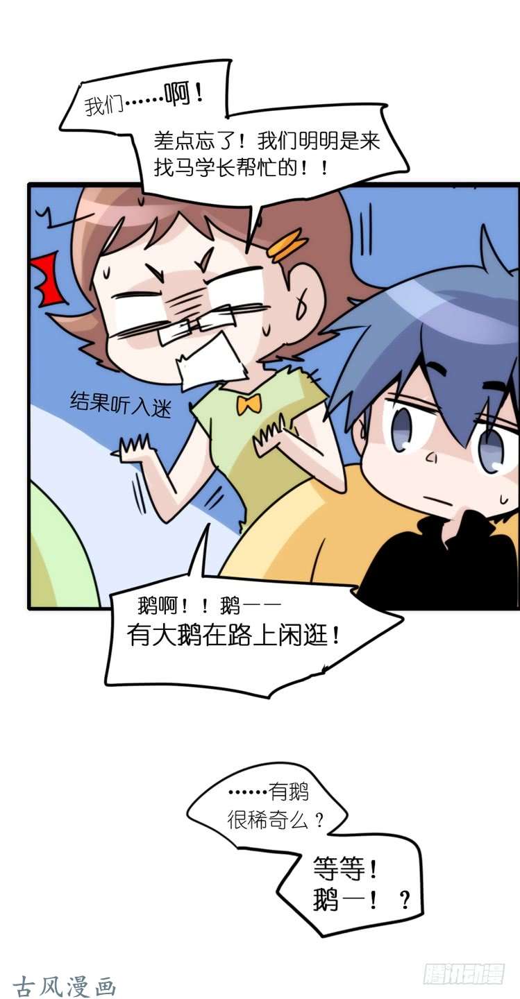进化之基动协在行动01：鹅霸校园