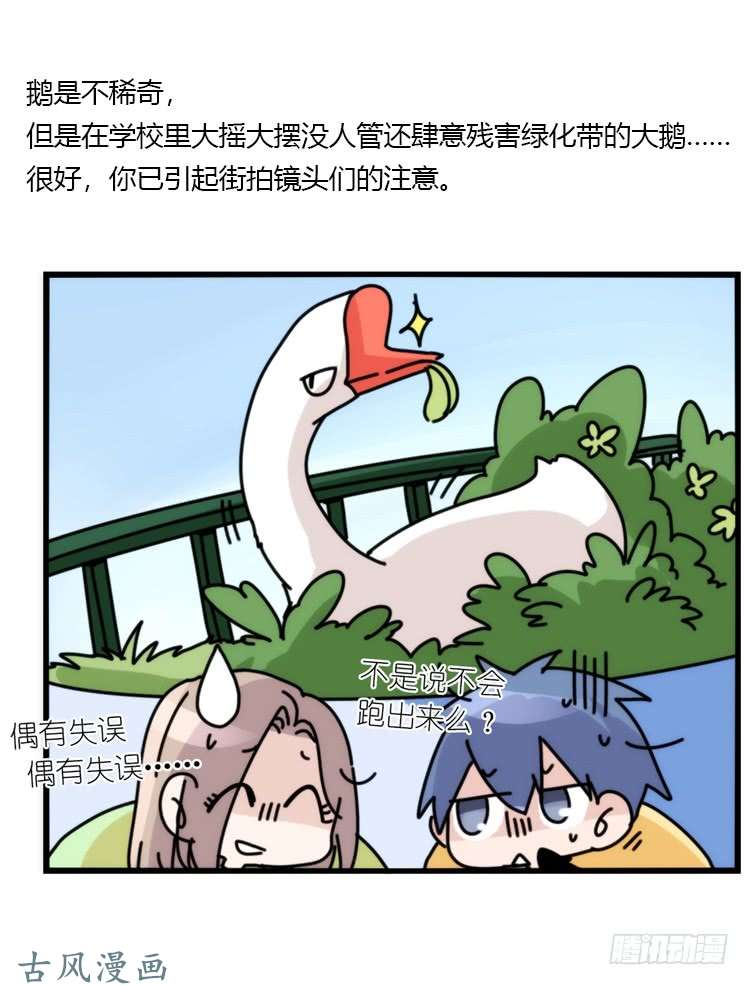 进化之基动协在行动01：鹅霸校园