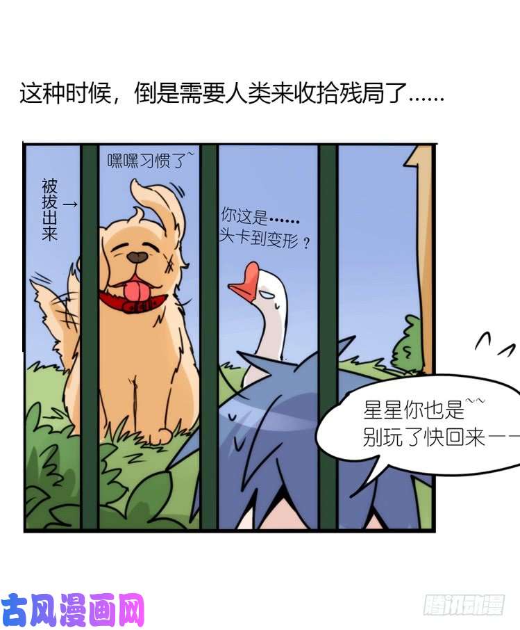 进化之基动协在行动04：破案了