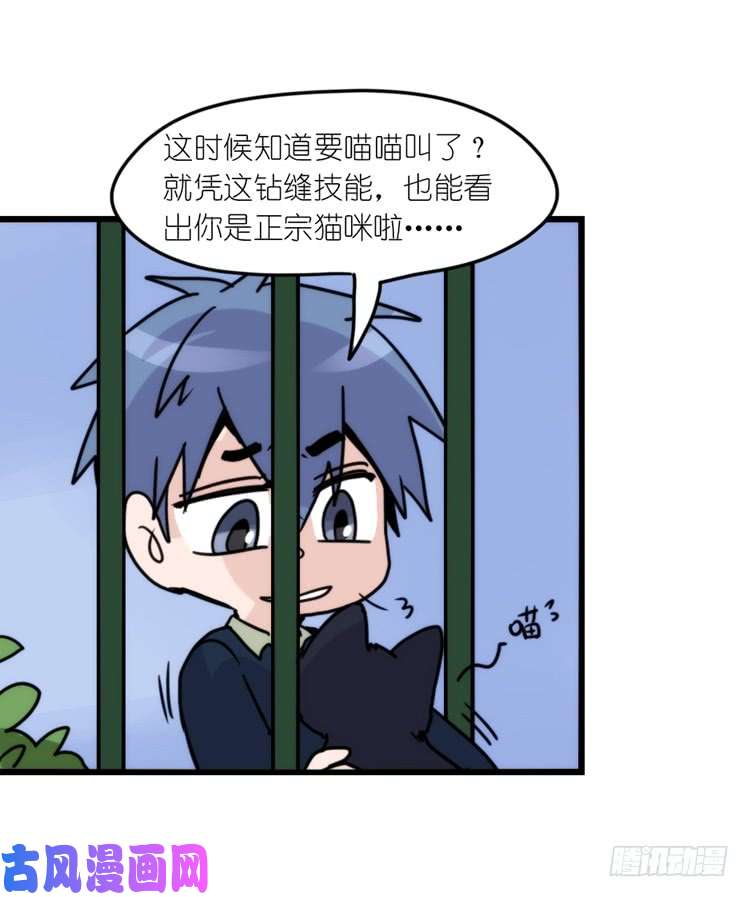进化之基动协在行动04：破案了