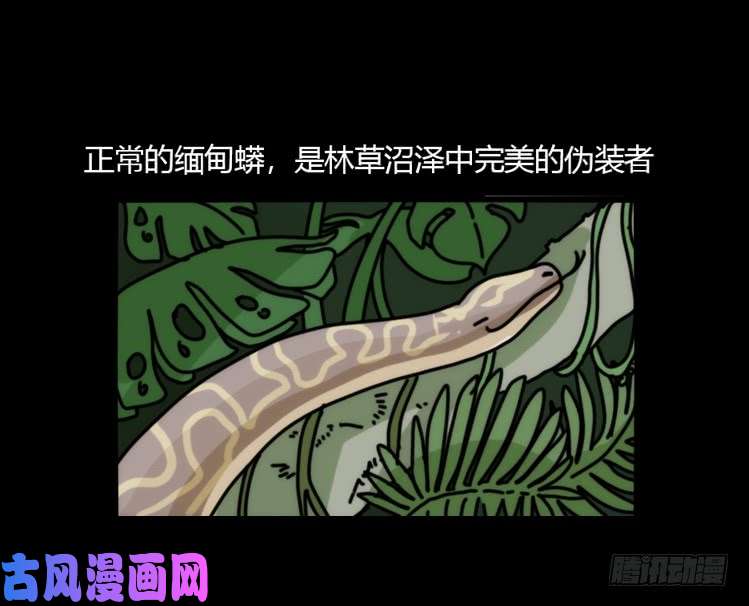 进化之基动协在行动07：自救联盟