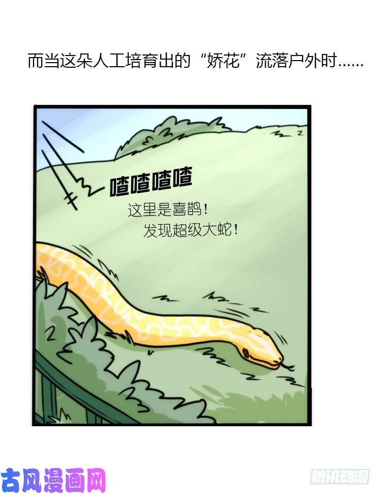 进化之基动协在行动07：自救联盟
