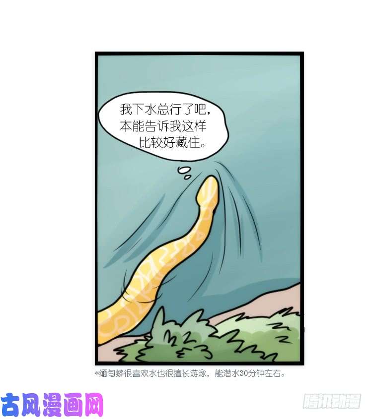 进化之基动协在行动07：自救联盟