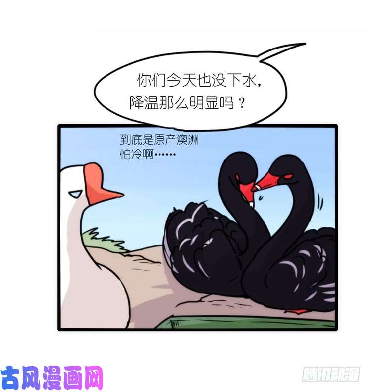 进化之基动协在行动07：自救联盟