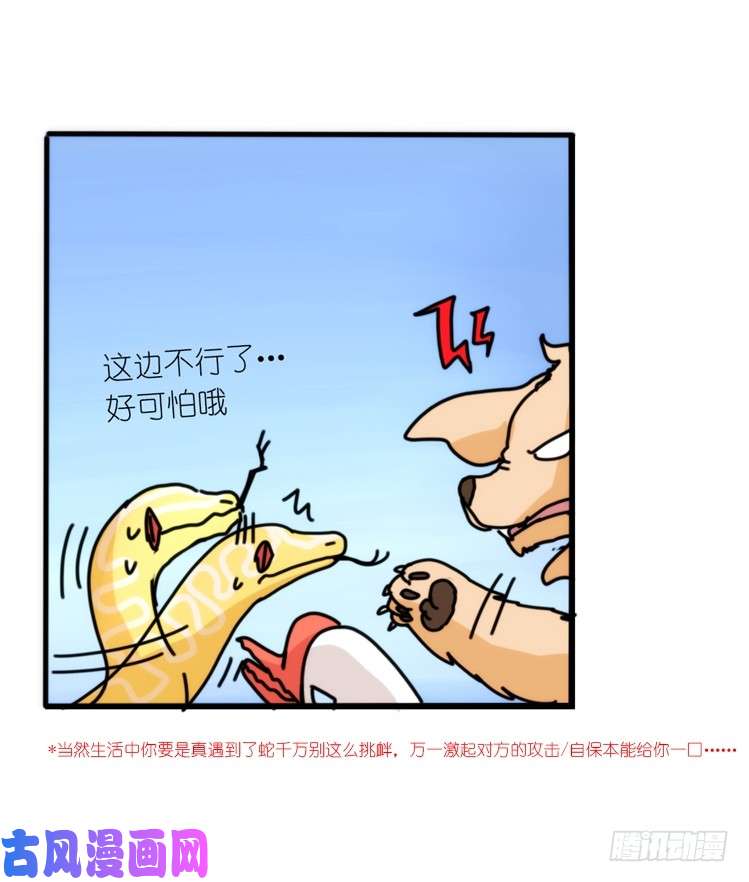进化之基动协在行动07：自救联盟