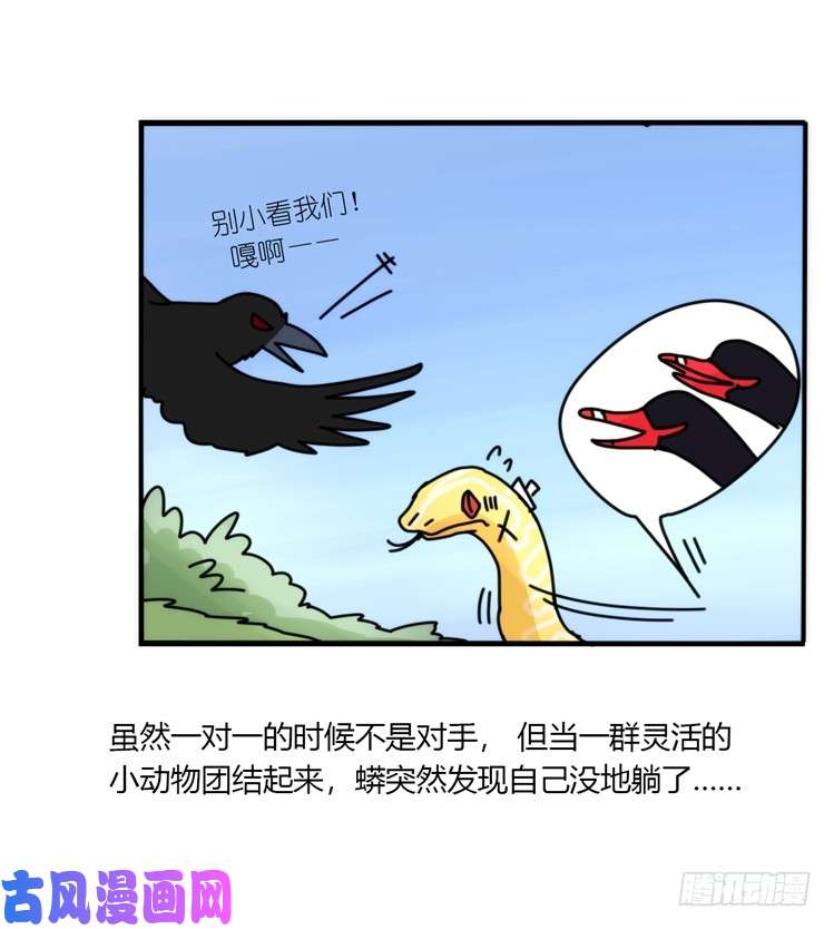 进化之基动协在行动07：自救联盟