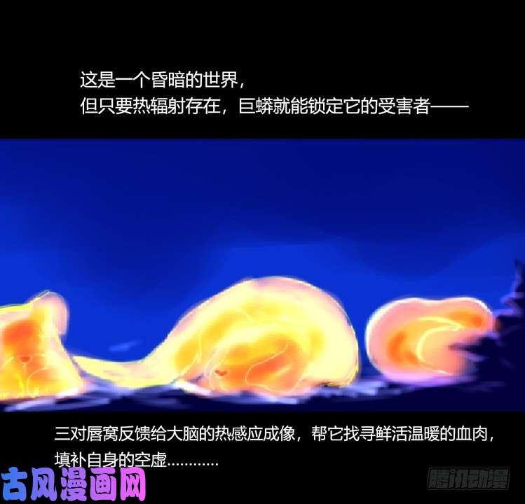 进化之基动协在行动08：一个都不能少？