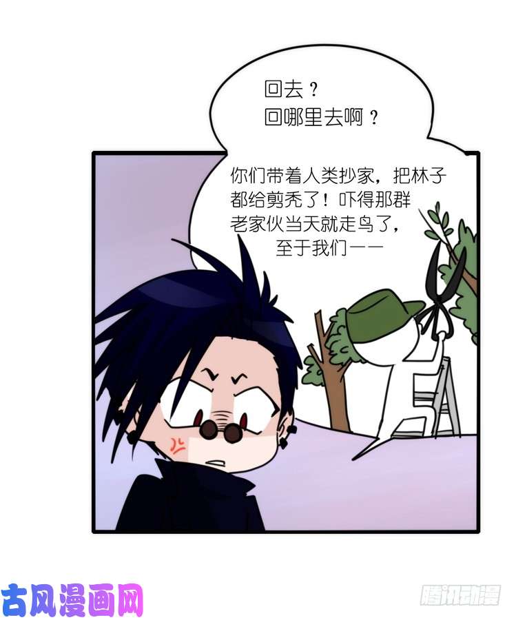 进化之基动协在行动08：一个都不能少？