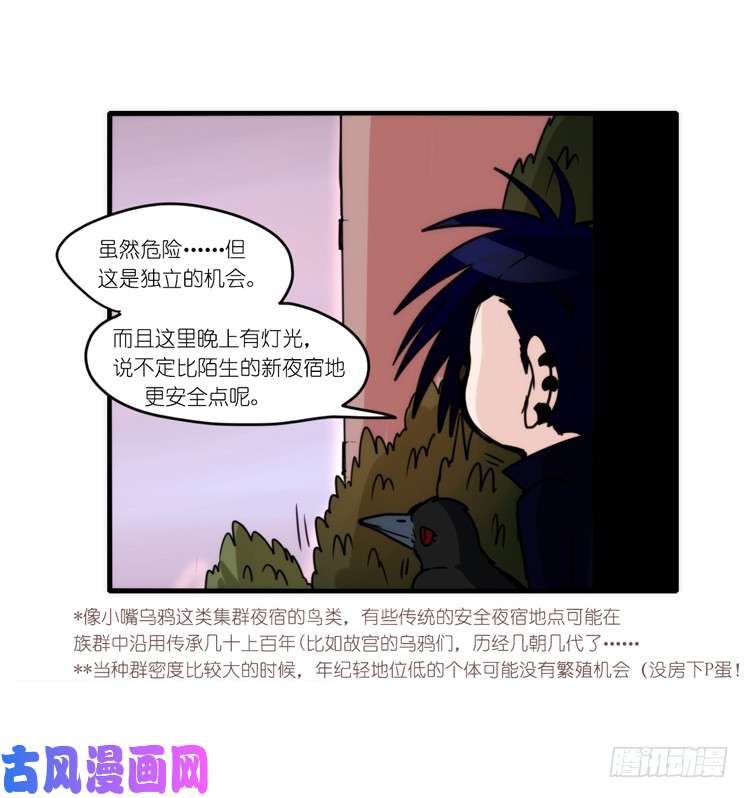 进化之基动协在行动08：一个都不能少？