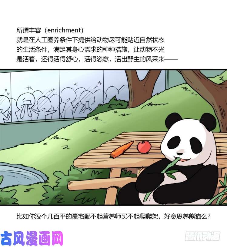 进化之基动协在行动10：召唤野性的方法