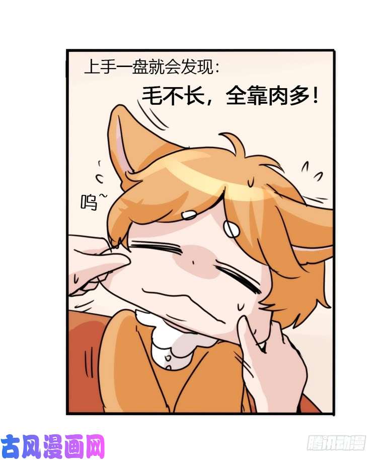 进化之基动协在行动10：召唤野性的方法