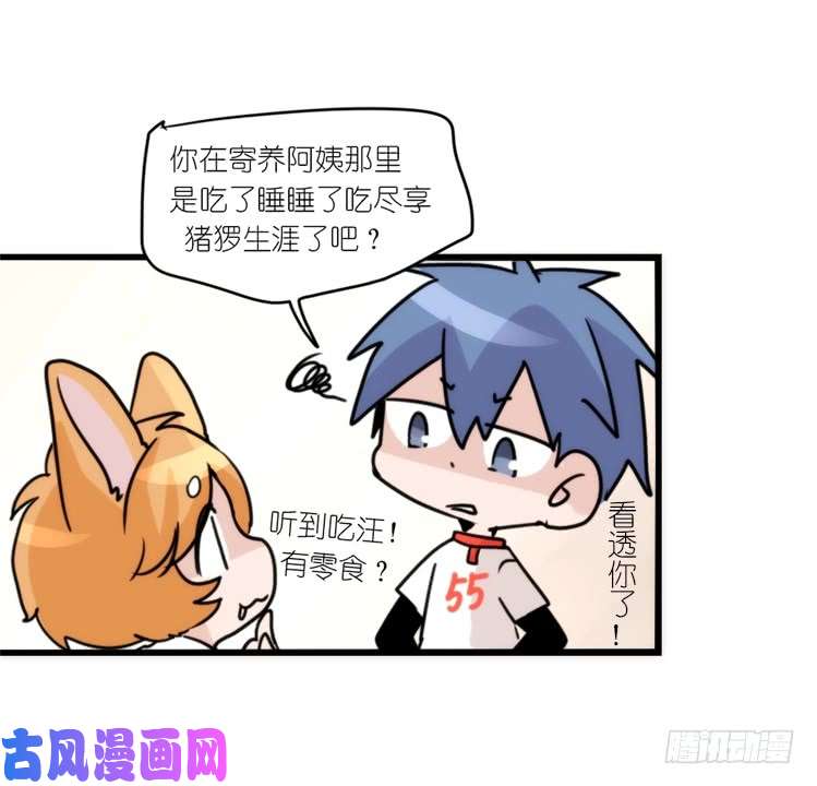 进化之基动协在行动10：召唤野性的方法