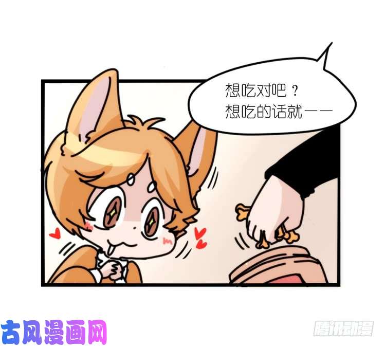 进化之基动协在行动10：召唤野性的方法