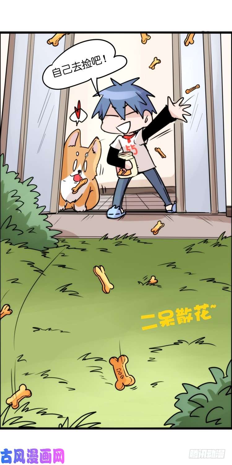 进化之基动协在行动10：召唤野性的方法