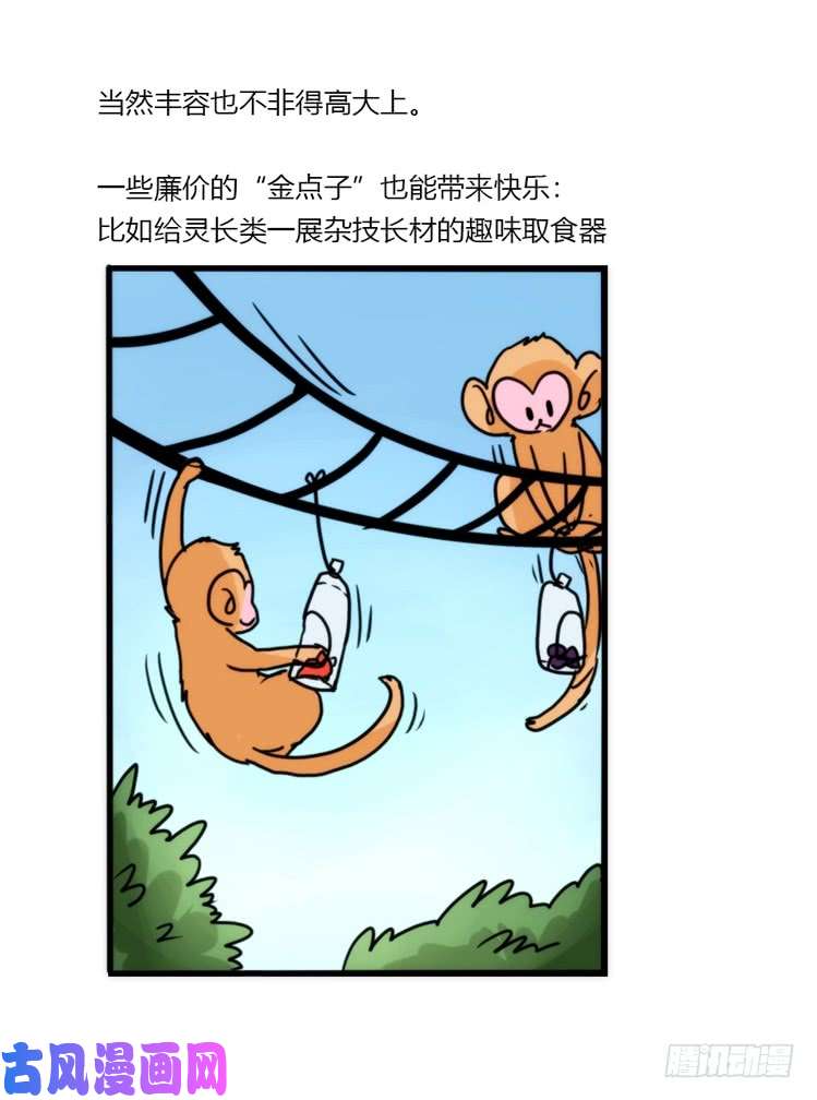 进化之基动协在行动10：召唤野性的方法