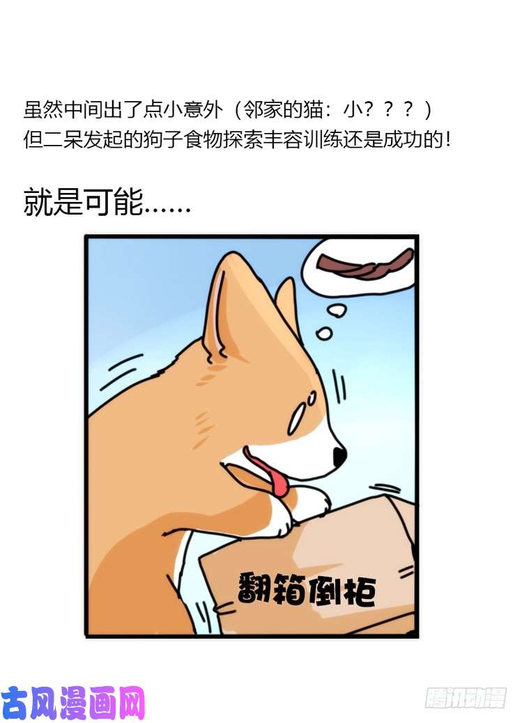 进化之基动协在行动10：召唤野性的方法