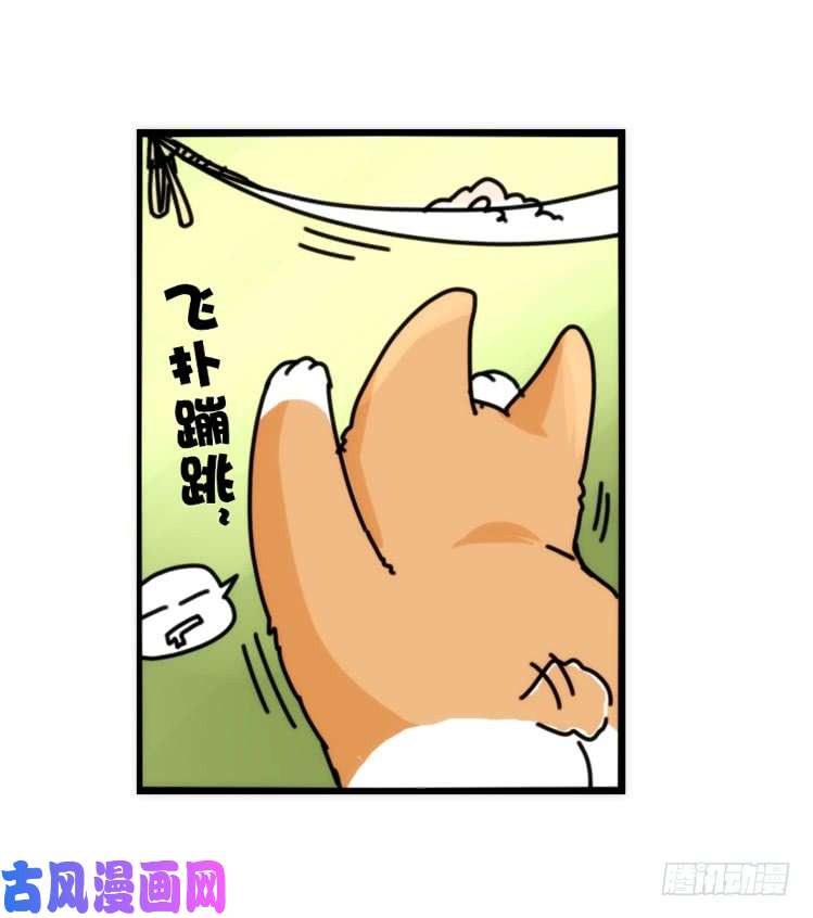 进化之基动协在行动10：召唤野性的方法