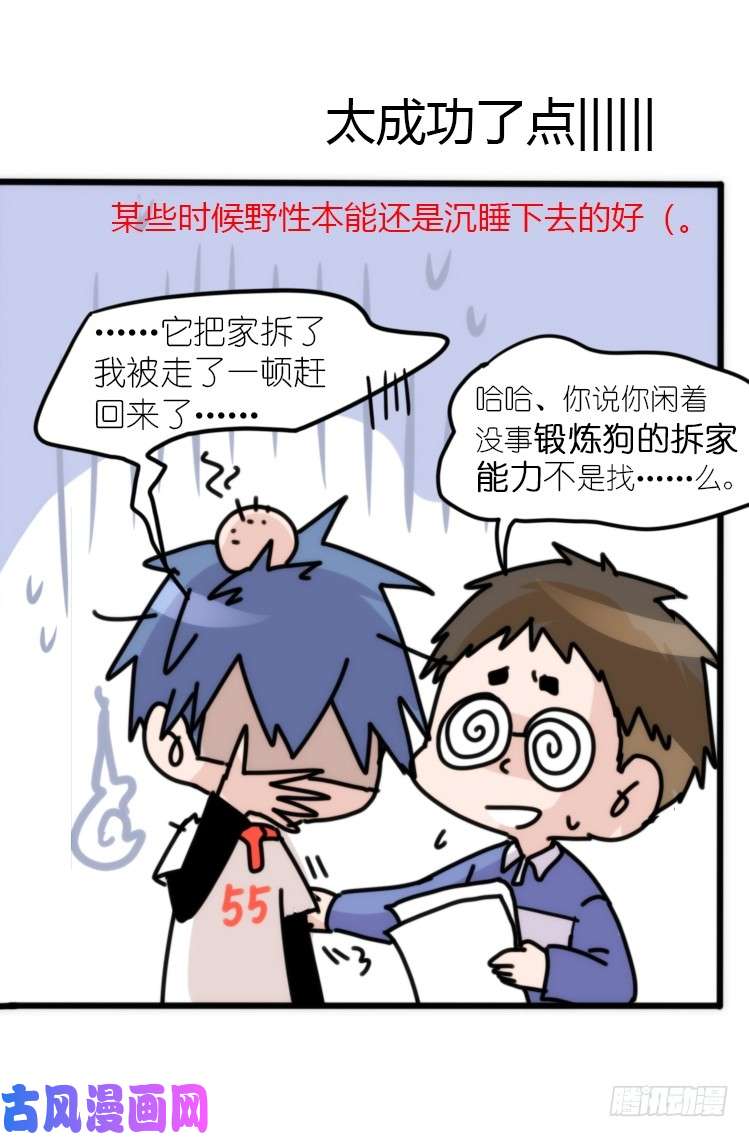 进化之基动协在行动10：召唤野性的方法