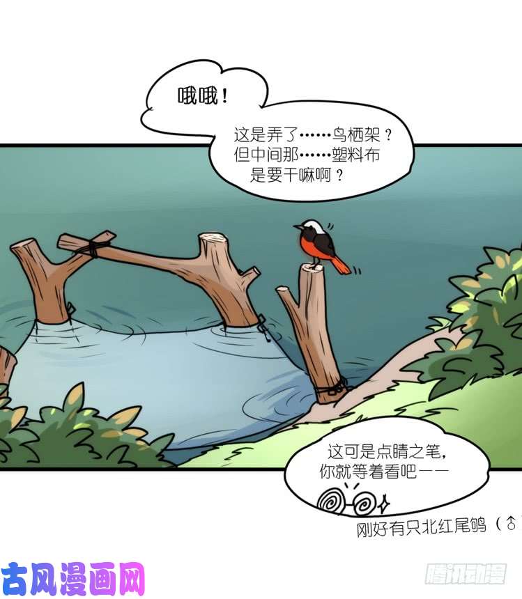 进化之基动协在行动10：召唤野性的方法
