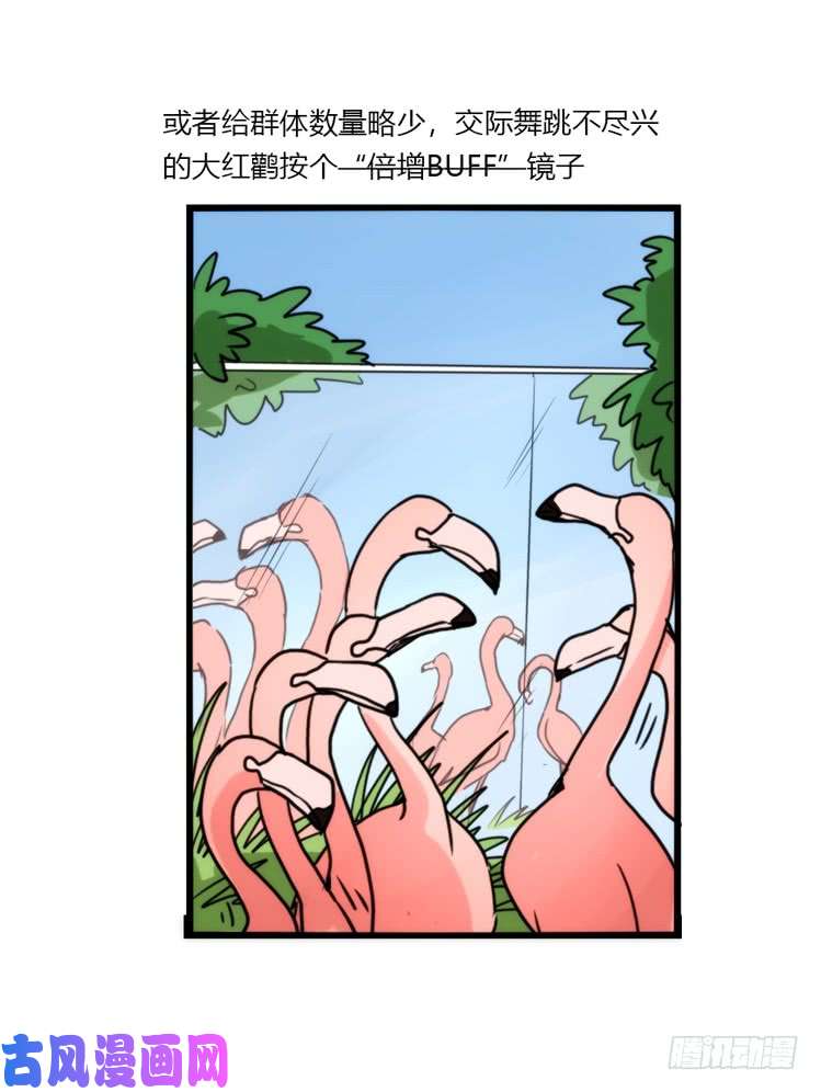 进化之基动协在行动10：召唤野性的方法