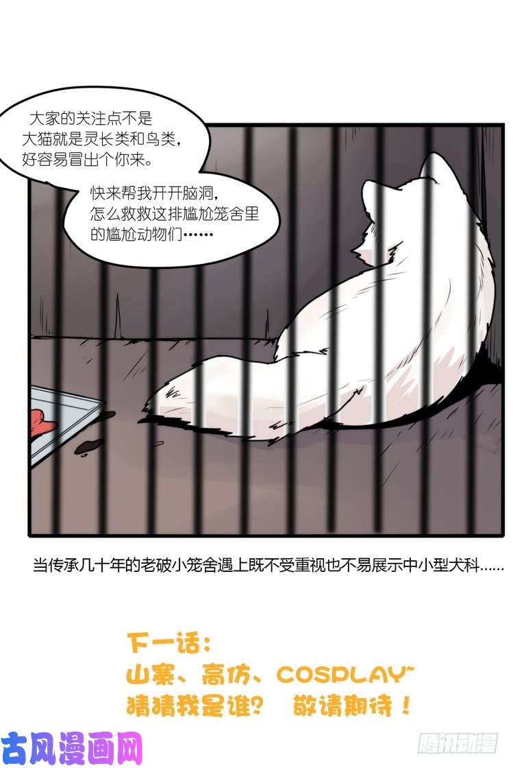 进化之基动协在行动10：召唤野性的方法