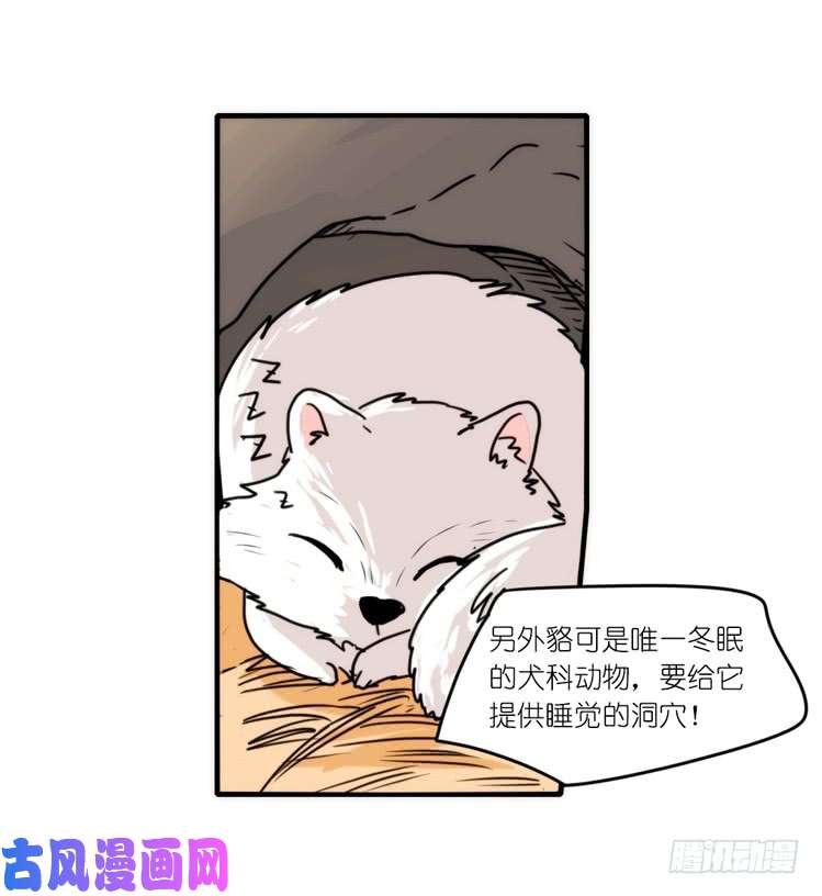进化之基动协在行动：理想VS现实