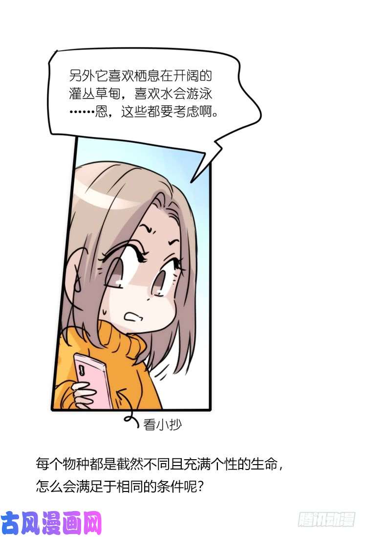 进化之基动协在行动：理想VS现实