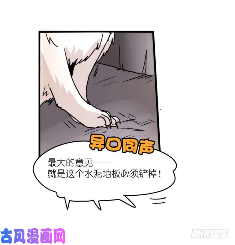 进化之基动协在行动：理想VS现实