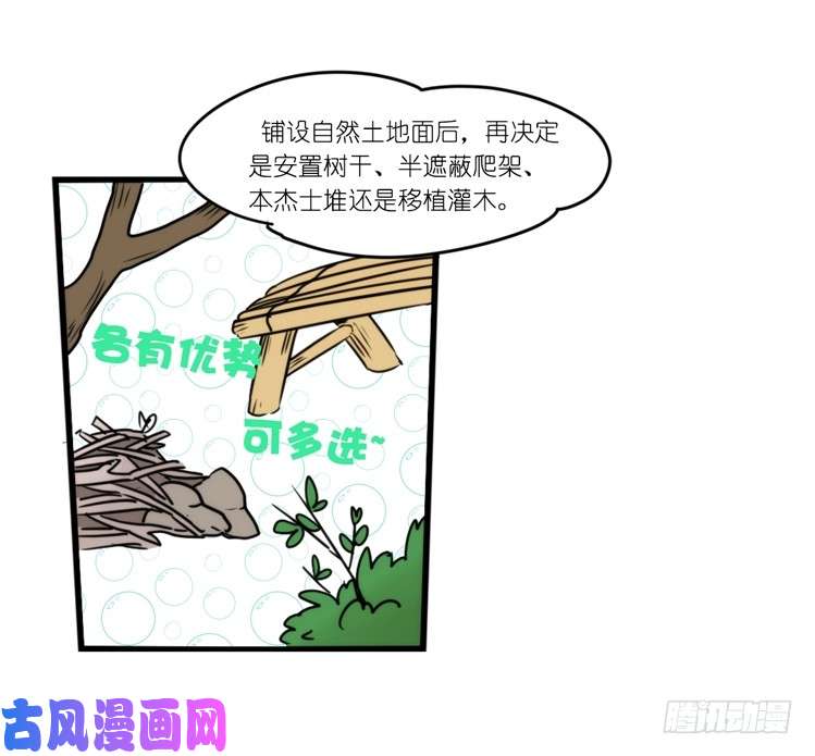 进化之基动协在行动：理想VS现实