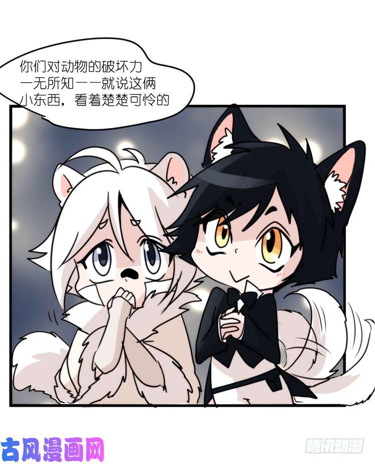进化之基动协在行动：理想VS现实