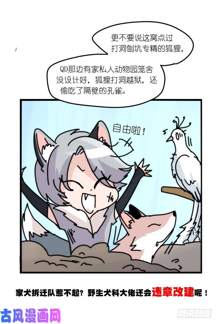 进化之基动协在行动：理想VS现实