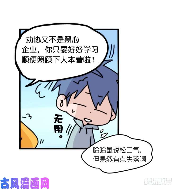 进化之基动协在行动：理想VS现实