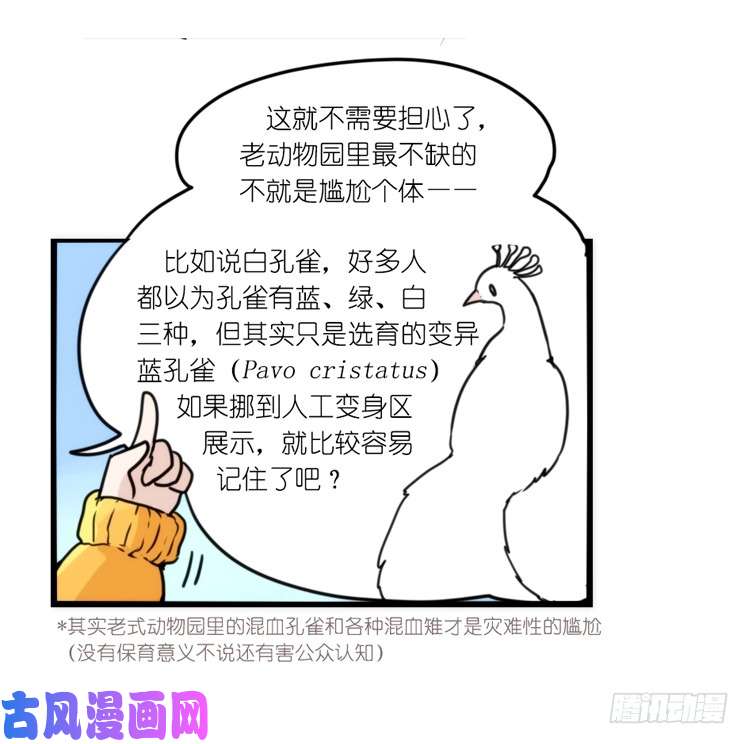 进化之基动协在行动：理想VS现实