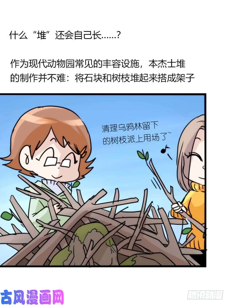 进化之基动协在行动13：变化
