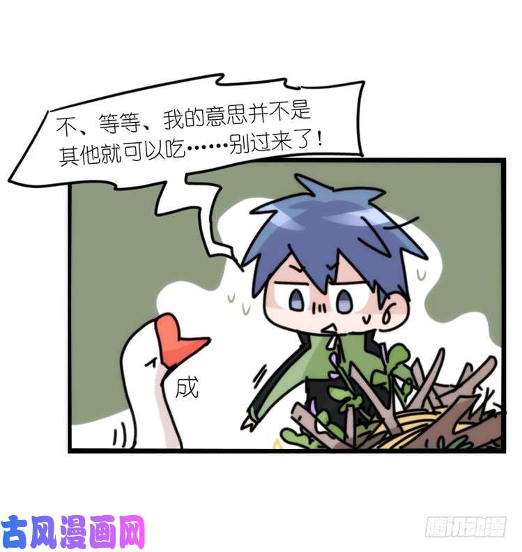 进化之基动协在行动13：变化