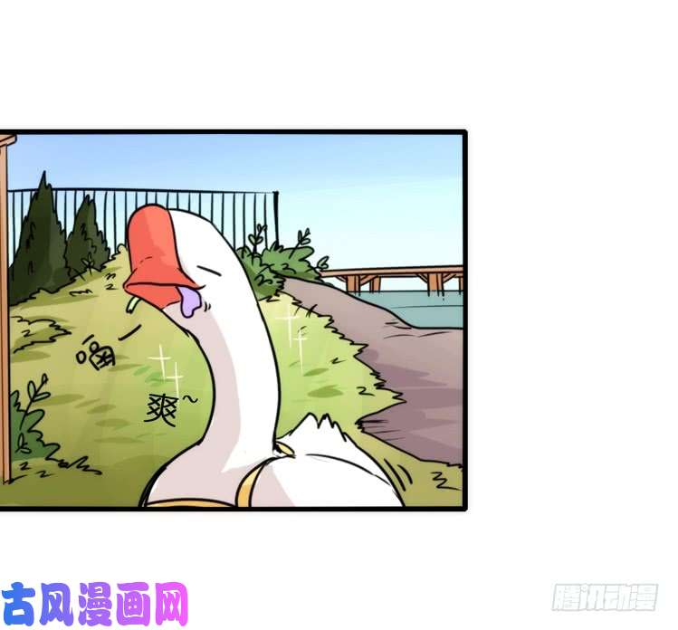 进化之基动协在行动13：变化