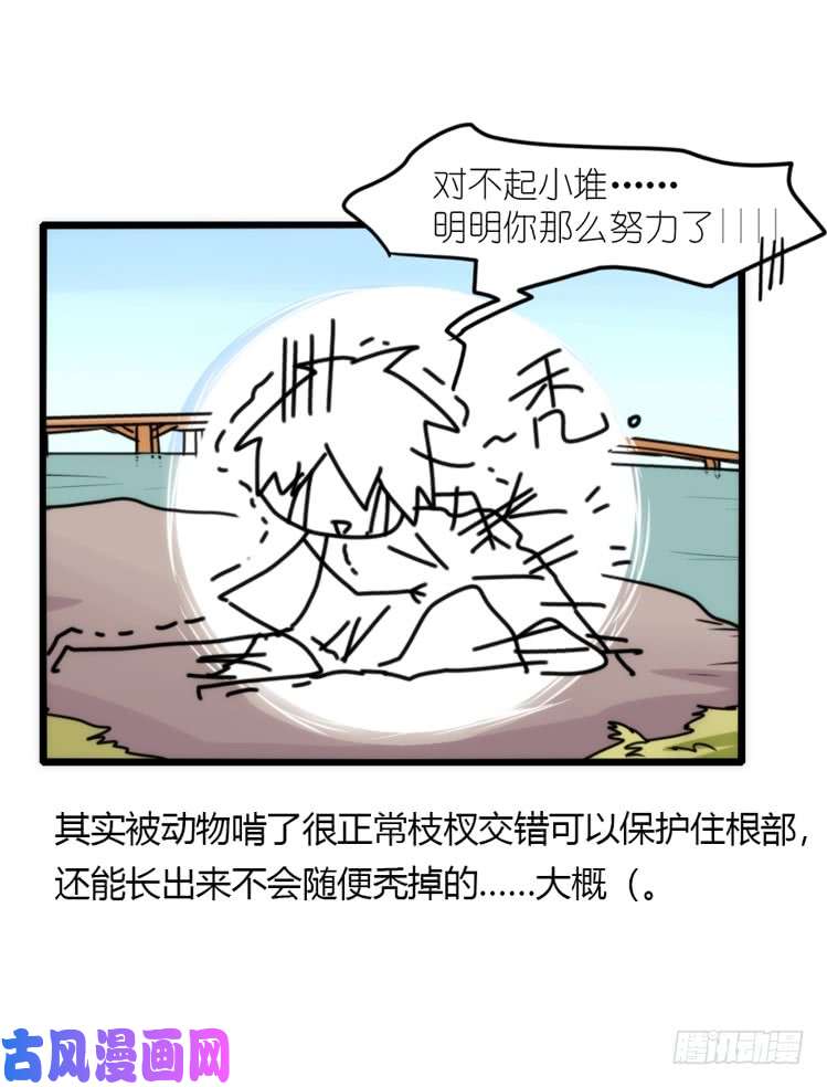 进化之基动协在行动13：变化