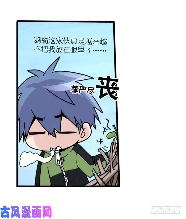 进化之基动协在行动13：变化