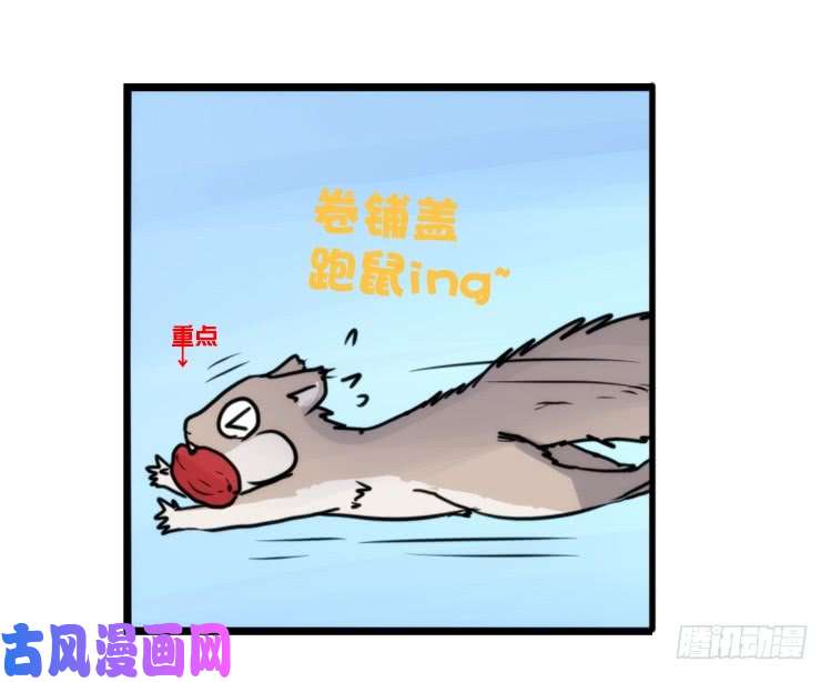 进化之基动协在行动13：变化