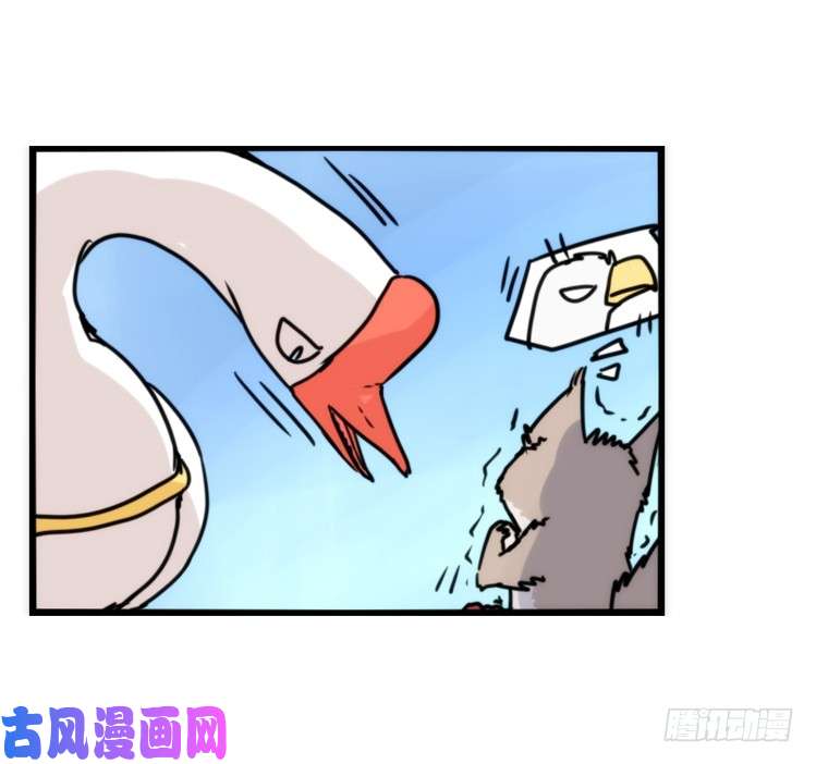 进化之基动协在行动13：变化
