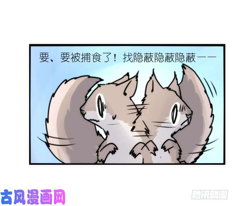 进化之基动协在行动13：变化