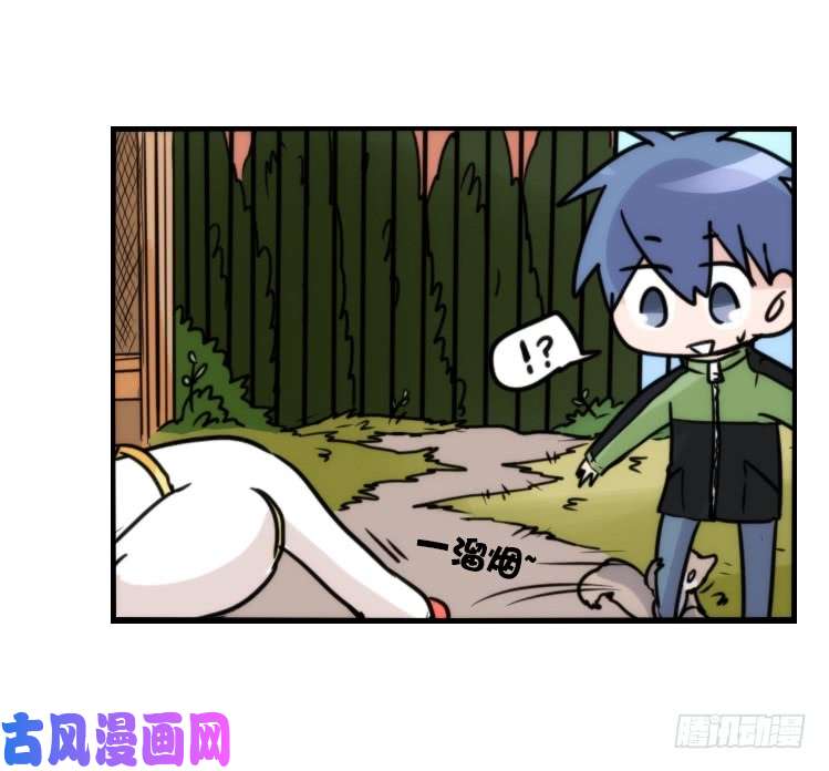 进化之基动协在行动13：变化