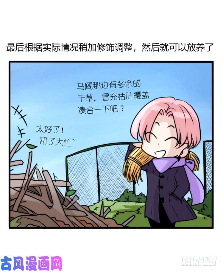 进化之基动协在行动13：变化