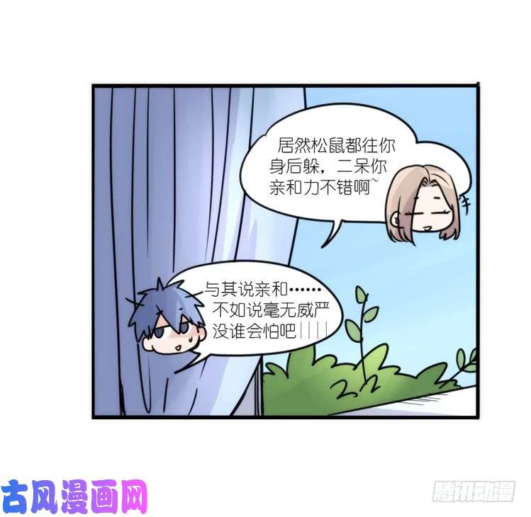 进化之基动协在行动13：变化