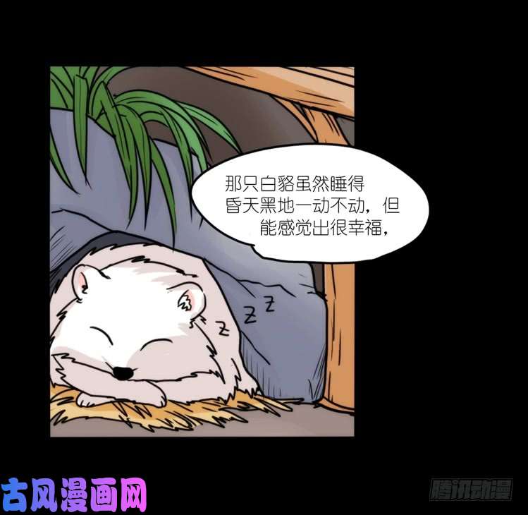 进化之基动协在行动13：变化