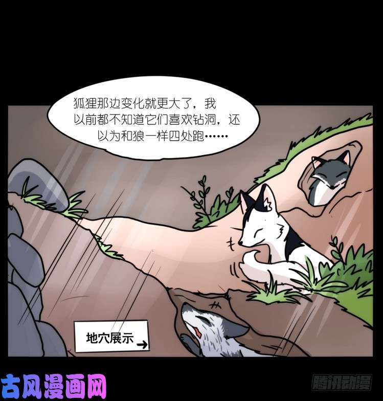 进化之基动协在行动13：变化
