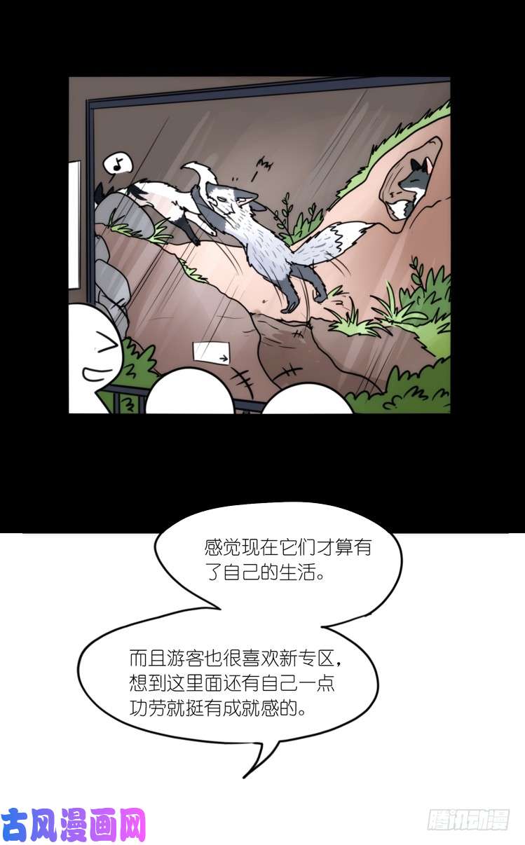 进化之基动协在行动13：变化