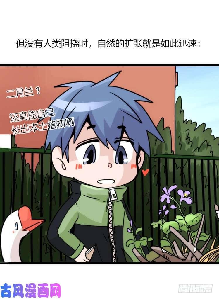 进化之基动协在行动13：变化
