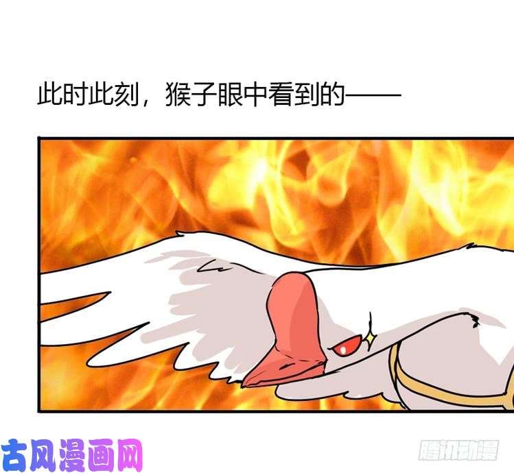进化之基动协在行动14：凶兽袭人事件？